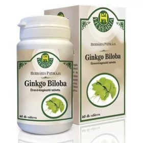 GINKO BILOBA TABLETTA 60X