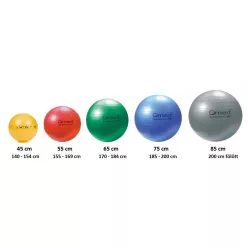 QMED Fizioball pumpával 65 cm 150 kg-ig