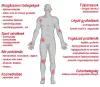 +választható ajándék! Megújult Li-ion akkumulátoros Safe Laser 150 Lézerkészülék orrkezelővel 3 év garanciával Infra SL150 lágy lézer