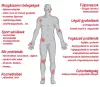 Safe Laser SL1800 Lézerkészülék  - választható ajándékkal